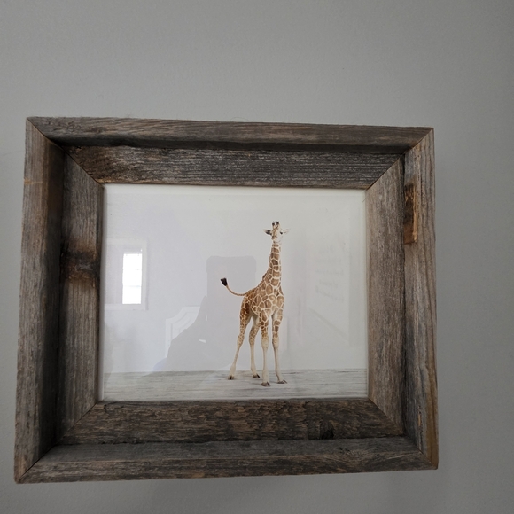 Restoration Hardware Rare Nursery Baby Animals - Picture 9 of 11